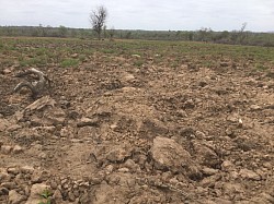 Southern side of 5ha land