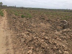 Eastern side of 5ha land