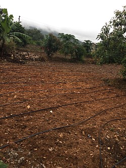 Land preparation