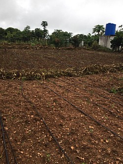 Land preparation