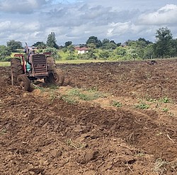 31 January 2024 -  Land preparation