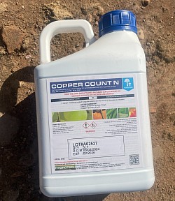 Copper Count in