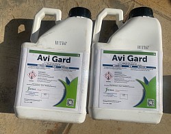 Avi Gard