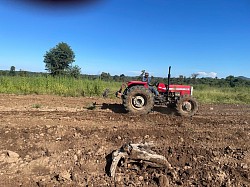 Plough