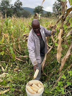 Harvesting