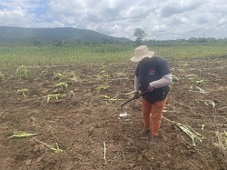 2 February 2026 - Land preparation