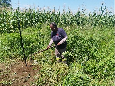 Portion of the field