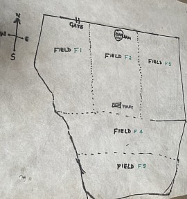Sketch showing division of the field